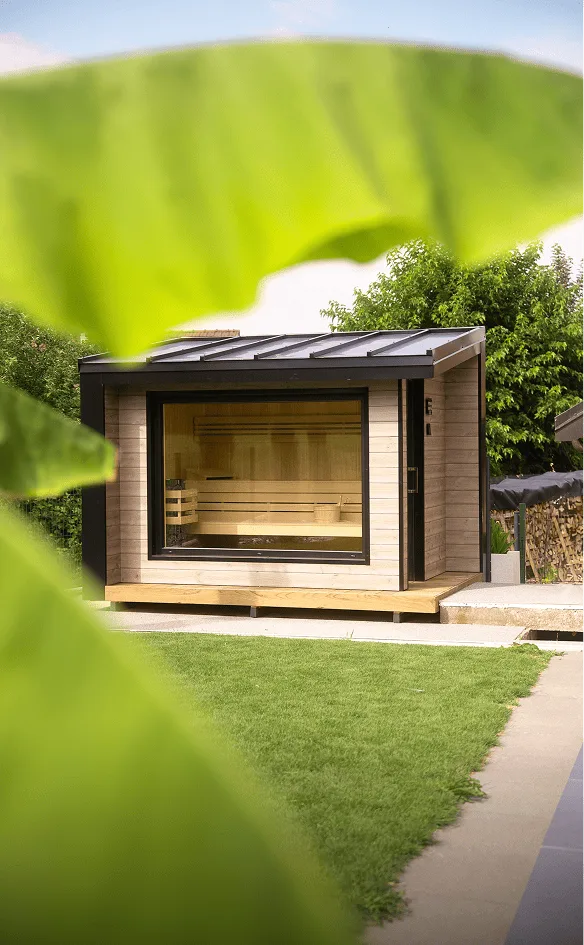 Projet Sauna Svelte au Lyaud